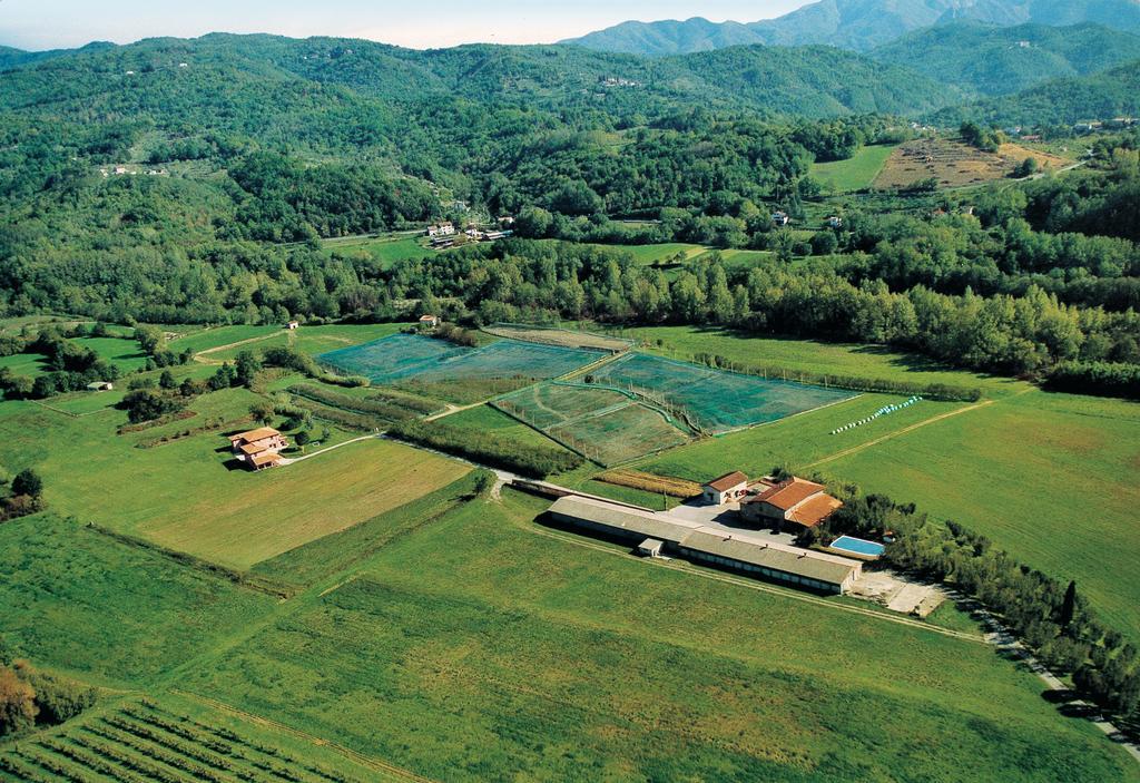 Agriturismo La Praduscella Fivizzano Exteriör bild